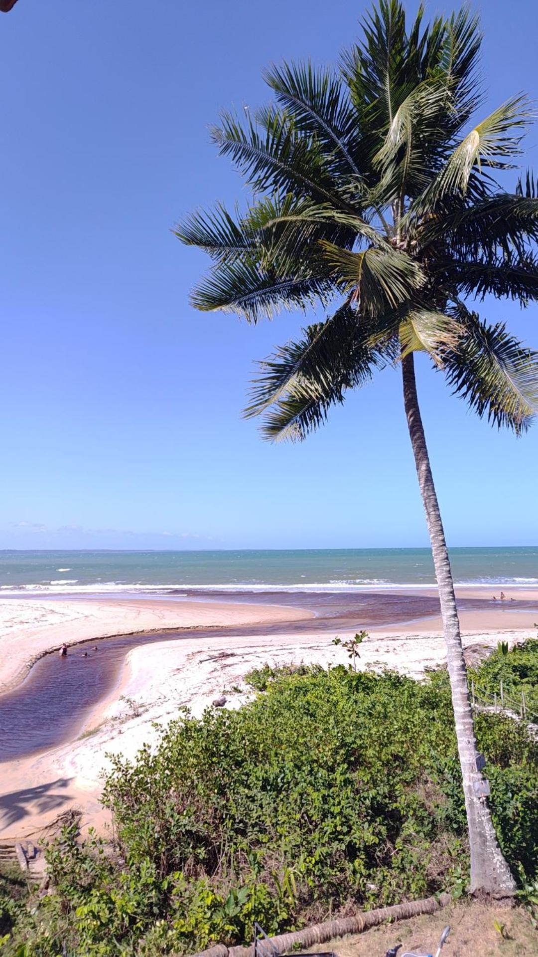 Paraiso Beach Hostel E Pousada سانتا كروز كابراليا المظهر الخارجي الصورة