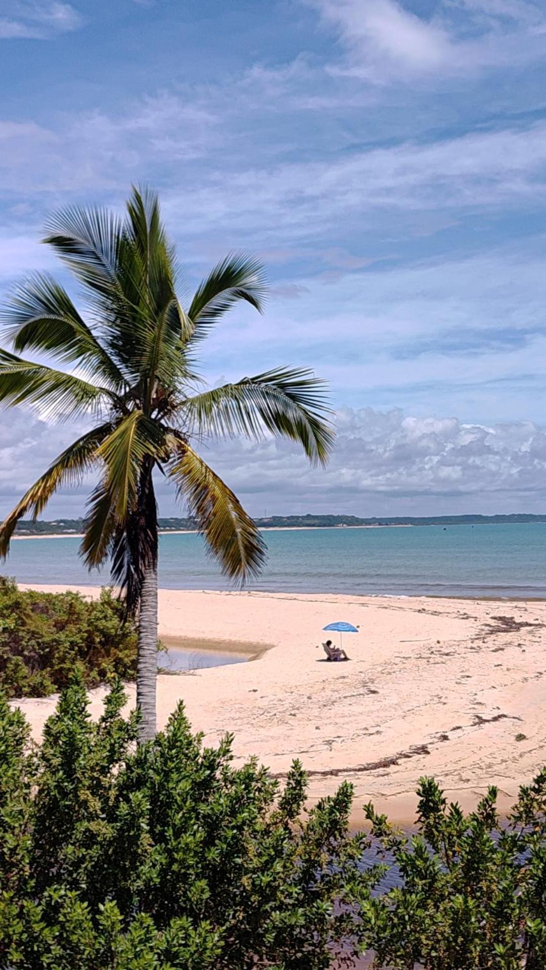 Paraiso Beach Hostel E Pousada سانتا كروز كابراليا المظهر الخارجي الصورة